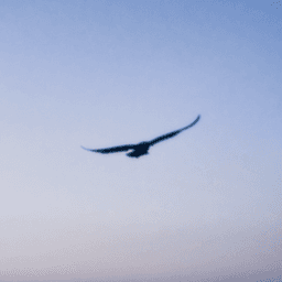 我的心骄荣自满